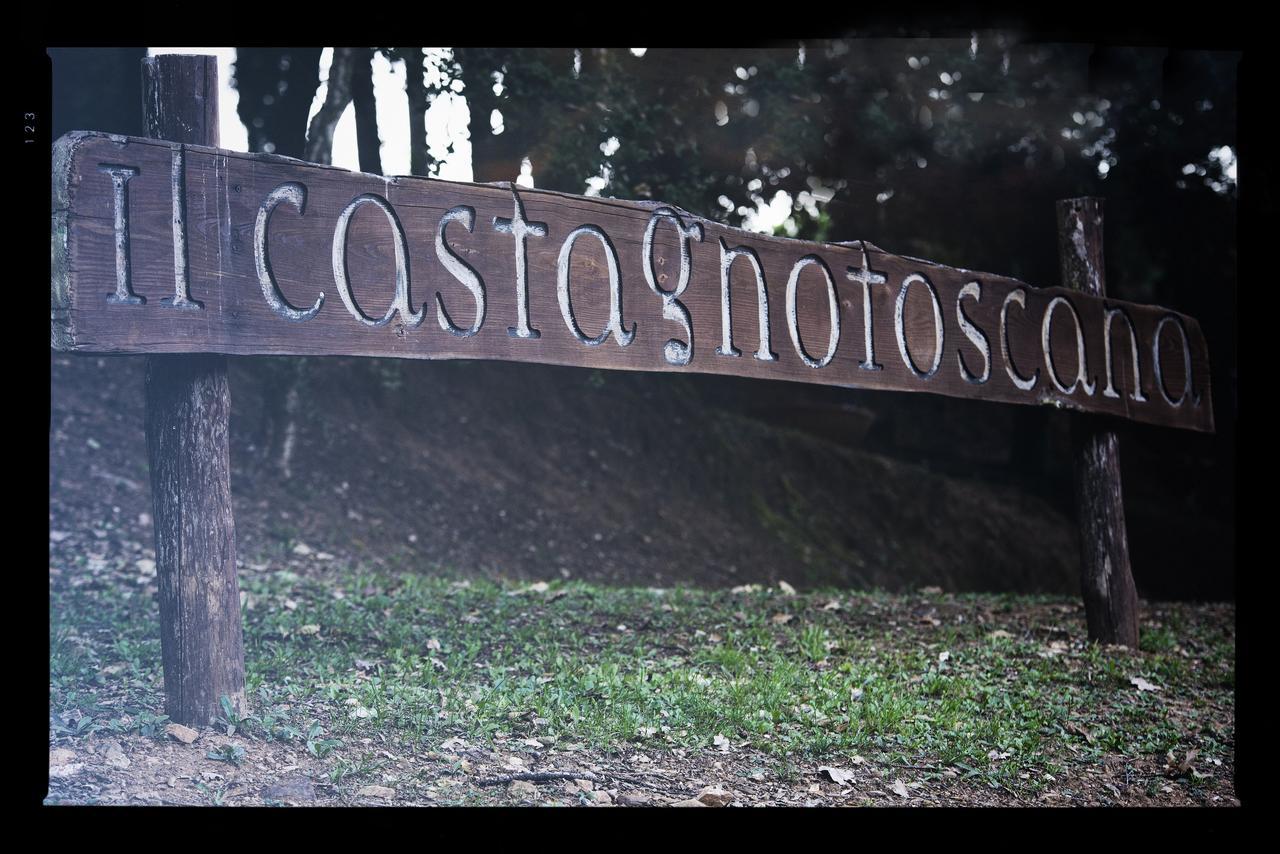 Il Castagno Toscana Campiglia Marittima Exteriér fotografie